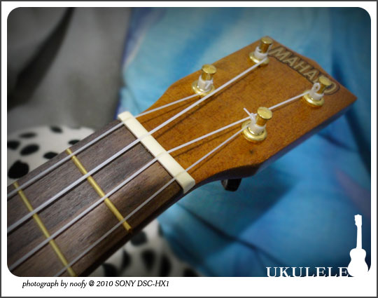 20100601-ukulele-03.jpg