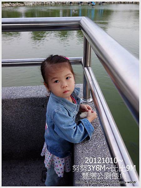 11-1011010豐樂公園10 11-1011010豐樂公園10