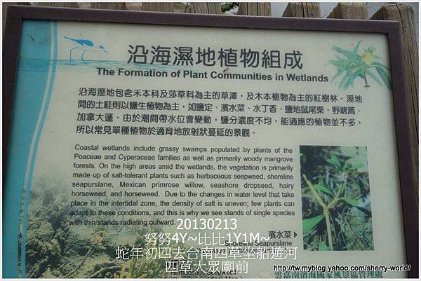 06-1020213好玩的四草搭船遊河&人爆多的安平20 06-1020213好玩的四草搭船遊河&人爆多的安平20