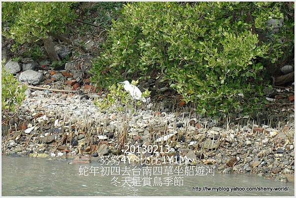 18-1020213好玩的四草搭船遊河&人爆多的安平12 18-1020213好玩的四草搭船遊河&人爆多的安平12
