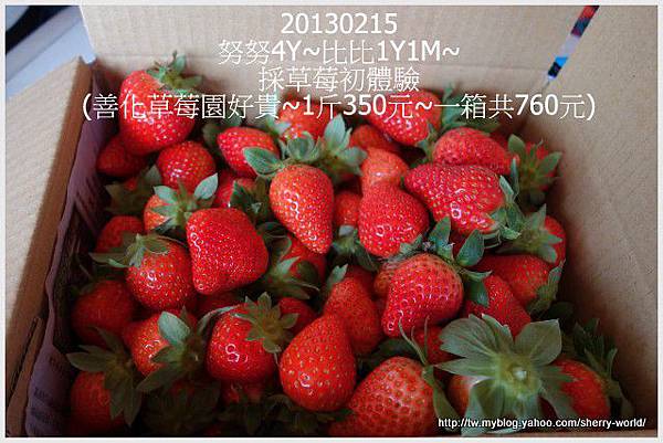 10-1020215採草莓9 10-1020215採草莓9