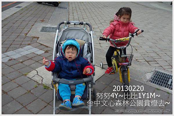 01-1020220文心森林公園看花燈 01-1020220文心森林公園看花燈