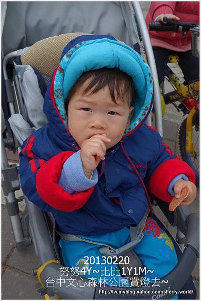 02-1020220文心森林公園看花燈1 02-1020220文心森林公園看花燈1