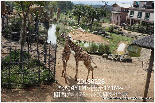 04-1020228&0301六福莊&六福村3 04-1020228&0301六福莊&六福村3