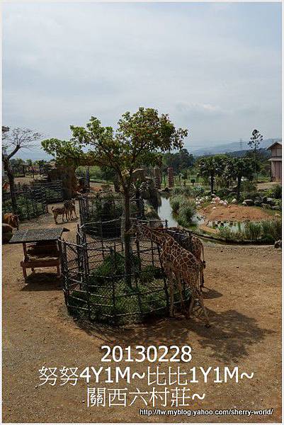 09-1020228&0301六福莊&六福村8 09-1020228&0301六福莊&六福村8