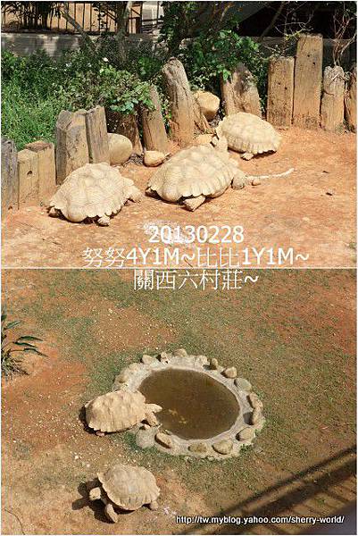 10-1020228&0301六福莊&六福村9 10-1020228&0301六福莊&六福村9