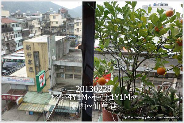 30-1020228&0301六福莊&六福村29 30-1020228&0301六福莊&六福村29