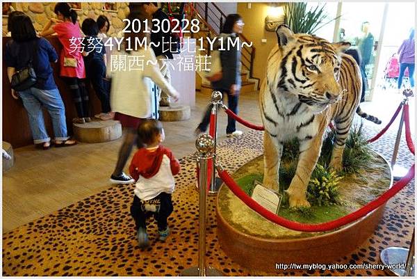 38-1020228&0301六福莊&六福村37 38-1020228&0301六福莊&六福村37