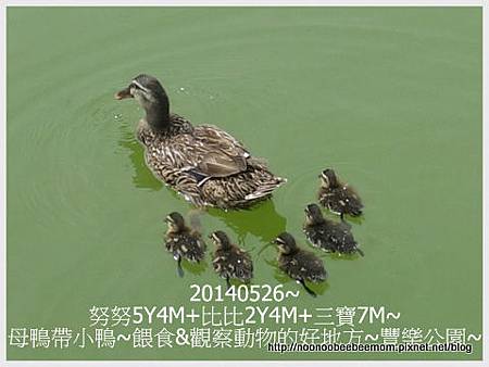 1-1030526豐樂公園野餐.jpg 1-1030526豐樂公園野餐.jpg