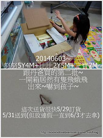 1-1030603跟丹爸買的第二批.jpg