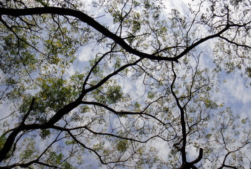 送 2013 送 2013