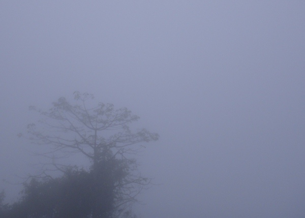 尼泊爾(9)-霧裡看山水