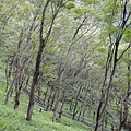 石門水庫-環山步道