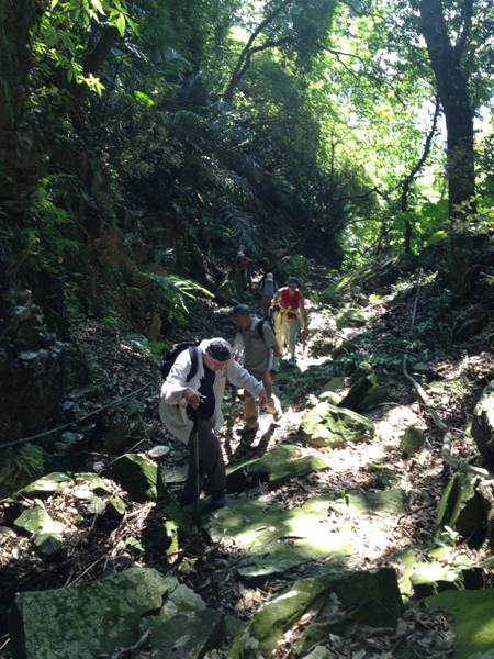 11崎嶇山路