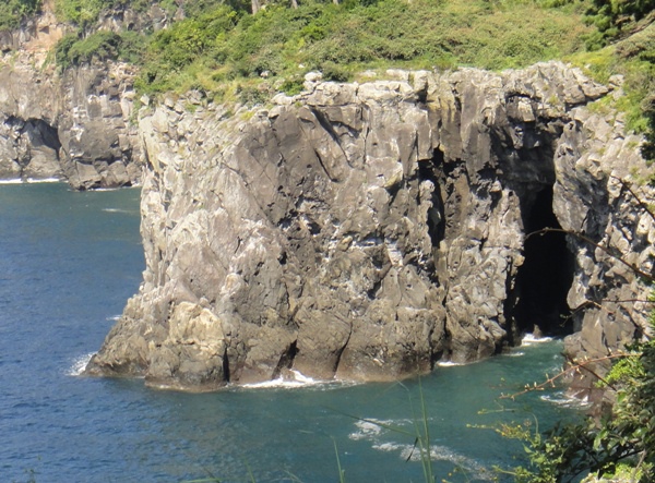 濟州島(4)-海岸岩洞