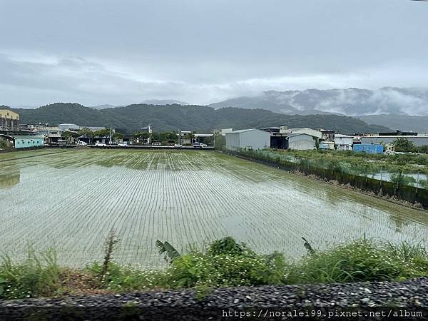 花蓮歡樂馬(1)_1.JPG