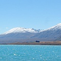 紐西蘭南島-蒂卡波湖 Lake Tekapo X NZ