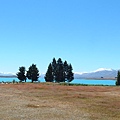 紐西蘭南島-蒂卡波湖 Lake Tekapo X NZ