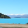 紐西蘭南島-蒂卡波湖 Lake Tekapo X NZ