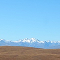 紐西蘭南島-蒂卡波湖 Lake Tekapo X NZ