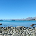 紐西蘭南島-蒂卡波湖 Lake Tekapo X NZ