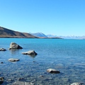 紐西蘭南島-蒂卡波湖 Lake Tekapo X NZ