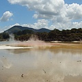 紐西蘭北島 Wai-O-Tapu X Rotorua