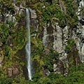 紐西蘭南島旅行-米佛峽灣 Milford Sound X NZ