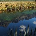 紐西蘭南島旅行-鏡湖 Mirror Lake X NZ