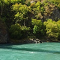 紐西蘭南島旅行-皇后鎮高空彈跳 Kawarau Bridge Bungy X NZ