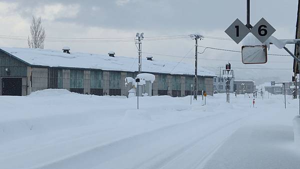 北海道旅遊景點_二世谷滑雪場