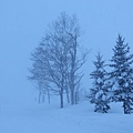 北海道旅遊景點_二世谷滑雪場