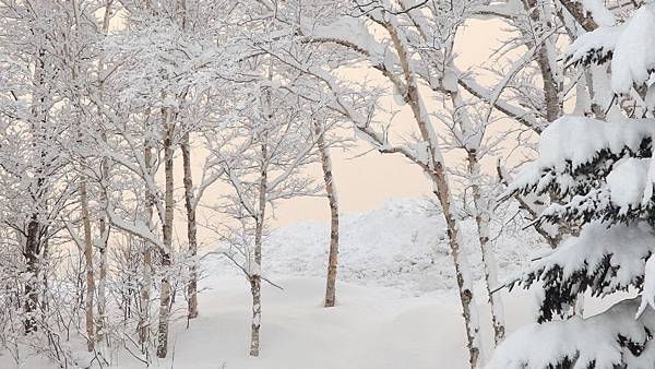 北海道冬季旅遊必去景點_二世谷滑雪