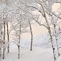 北海道冬季旅遊必去景點_二世谷滑雪