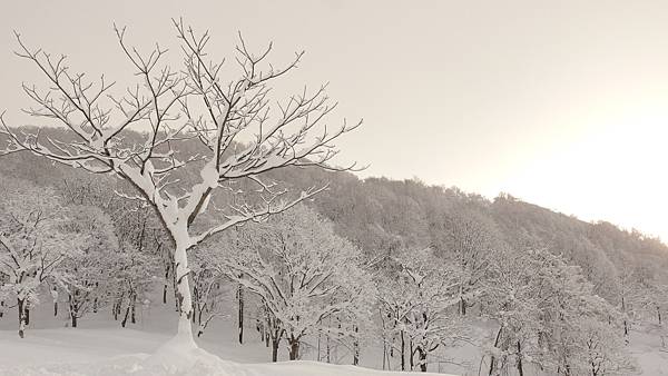 北海道冬季旅遊必去景點_二世谷滑雪