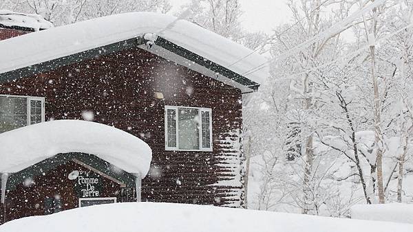 北海道冬季旅遊必去景點_二世谷滑雪