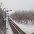 北海道冬季行程_釧路