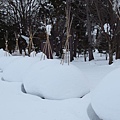 北海道冬季旅行安排_旭川