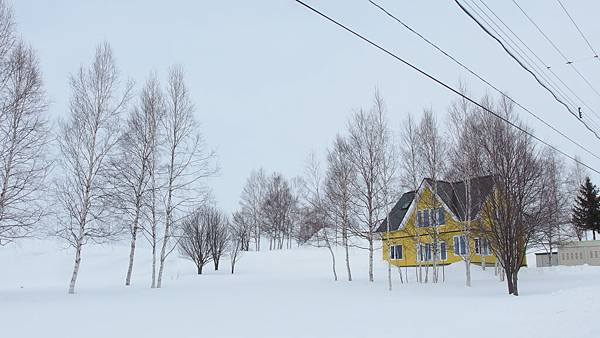 日本北海道冬季旅遊行程_美瑛雪景