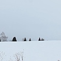 日本北海道冬季旅遊行程_美瑛雪景