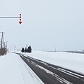 日本北海道冬季旅遊行程_美瑛雪景