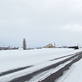 日本北海道冬季旅遊行程_美瑛雪景