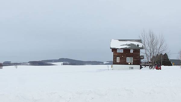 日本北海道冬季旅遊行程_美瑛雪景