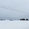 日本北海道冬季旅遊行程_美瑛雪景