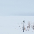 日本北海道冬季旅遊行程_美瑛雪景