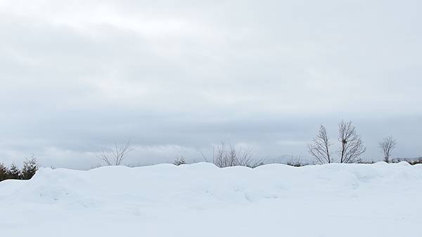 日本北海道冬季旅遊行程_美瑛雪景