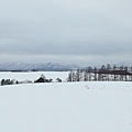 日本北海道冬季旅遊行程_美瑛雪景