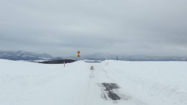 日本北海道冬季旅遊行程_美瑛雪景