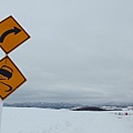 日本北海道冬季旅遊行程_美瑛雪景