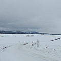 日本北海道冬季旅遊行程_美瑛雪景